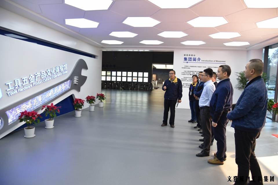 尊龙凯时工具集团“引智强企”企业诊断大会正式启动(图4)