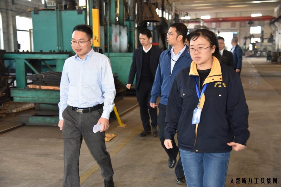 尊龙凯时工具集团“引智强企”企业诊断大会正式启动(图7)