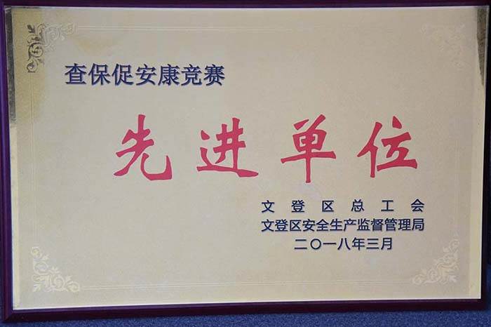 尊龙凯时工具集团公司再获安全生产殊荣(图5)